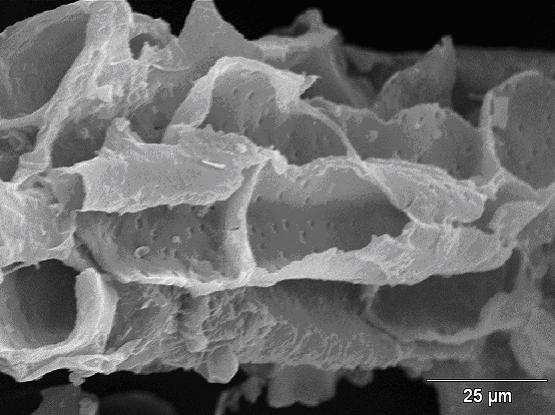 Study of sugar cane bagasse characteristics: particle shape and size, free-settling velocity, and drag