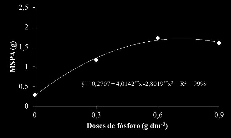 Figura 6. Massa da matéria seca da raiz (MSR) aos 180 dias após a semeadura sob a influência do fósforo. Areia PB, 2014.
