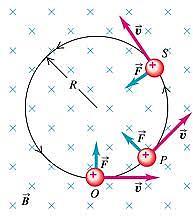 Neste caso, F M = qvb com direção perpendicular ao plano formado por v e B, ou seja a força é sempre perpendicular à velocidade!