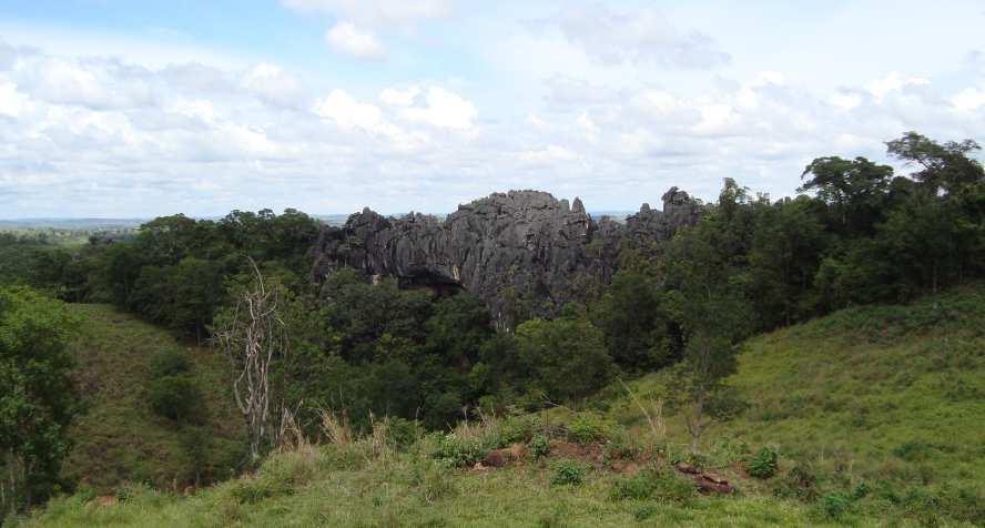 no ponto A, entre a interseção das retas c e a. Além disso, o comprimento do gnatópodo (reta b ) foi medido.