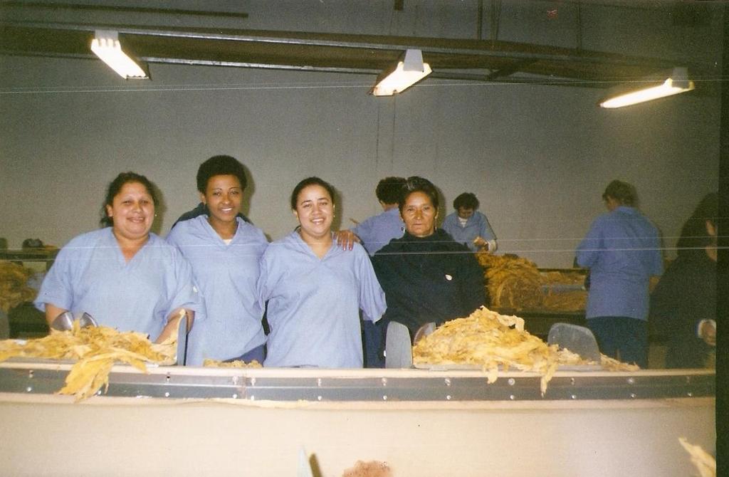 Sua comida preferida era feijão com arroz, embora gostasse muito de cozinhar outras coisas para os filhos. Na foto, equipe de trabalho em uma das fumageiras.