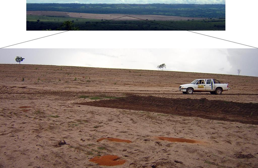Concentração estimada da fração areia (%) O desenvolvimento de manchas de areia (areais) do tipo colina é discutido por Suertegaray (1995; 1998), que apresentou um modelo onde os areais de colina têm