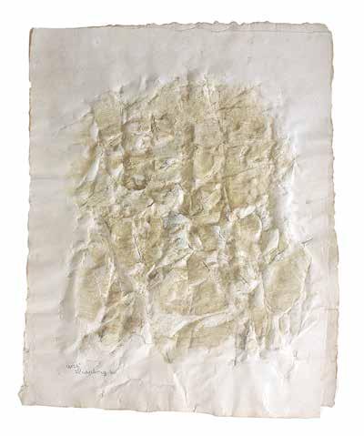 000 5 - Frans Krajcberg (1921-2017) relevo sobre papel 66 x 51,5 cm assinada