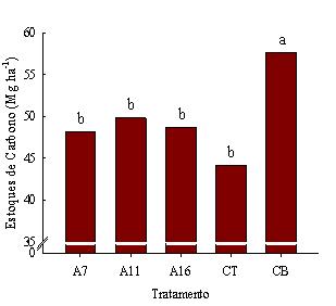 tendência de aumento dos estoques com a adoção do plantio direto.