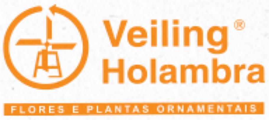Comercialização de Flores e Plantas Centrais de Distribuição Cooperativa Veiling Holambra Principal centro de comercialização de flores e plantas da América do Sul Reúne 400 fornecedores e 600