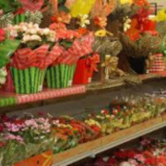 Comercialização de Flores e Plantas - Varejo FLORICULTURA Sofreu o impacto da venda de flores e plantas