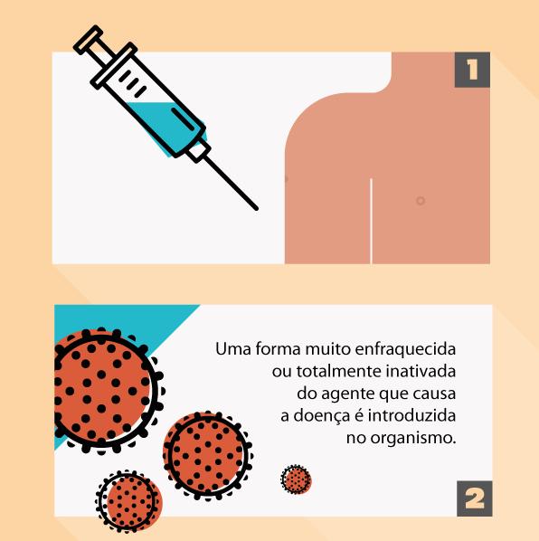 -A maioria das vacinas virais é produzida a partir de vírus mortos ou enfraquecidos