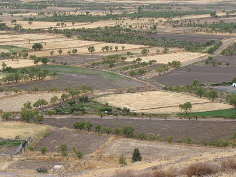 produtivas (solos pouco férteis): deslocação dos agricultores Savanas Policultura