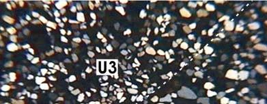Notar variações de textura relacionadas à diferenciação da distribuição relativa. Figura 8B: Fotomicrografia entre o limite das unidades 2 e 3 (U2 e U3).