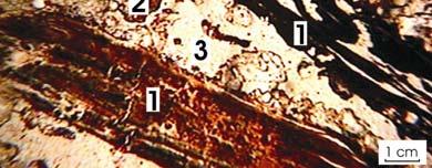 A unidade 2 é a extremidade de uma lente (ver figuras 2A e 2B), que se diferencia bastante das demais unidades em textura e distribuição relativa.