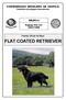 FLAT COATED RETRIEVER