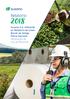 Relatório. Suzano S.A. referente ao Relatório de Green Bonds da Antiga Fibria Celulose: Declaração de Uso de Recursos