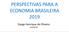 PERSPECTIVAS PARA A ECONOMIA BRASILEIRA Dyogo Henrique de Oliveira Junho/19