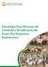 UNIÃO AFRICANA GABINETE INTER-AFRICANO PARA OS RECURSOS ANIMAIS. Estratégia Pan-Africana de Controlo e Erradicação da Peste dos Pequenos Ruminantes