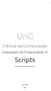 UnG. Scripts. Ciência da Computação. Linguagem de Programação IV. Prof. Erwin Alexander Uhlmann. Guarulhos