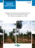Avaliação de cultivares de pimenteira-do-reino (Piper nigrum) em dois tipos de tutores no município de Igarapé-Açu, Pará