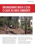 BRUMADINHO MATA E LEVA O CAOS AO MEIO AMBIENTE