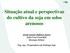 Situação atual e perspectivas do cultivo da soja em solos arenosos