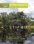 O Macaqueiro. Rio Jutaí: diversidade ecológica e beleza natural