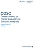 COSO. Gerenciamento de Riscos Corporativos - Estrutura Integrada. Sumário Executivo Estrutura