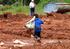 Trabalho infantil no campo: do problema social ao objeto sociológico