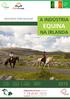 EQUINA NA IRLANDA A INDÚSTRIA. Seminário Internacional. efigieeducacional.com.br T: 19 4141.1515. contato@efigieeducacional.com.br