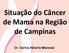 Situação do Câncer de Mama na Região de Campinas. Dr. Carlos Alberto Menossi