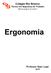 Sumario. 1 Introdução à Ergonomia... 2. 2 Conceito de Ergonomia... 3 3 NR 17... 7. 4 Equação de NIOSH... 28. 5 Transporte de cargas...