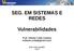 SEG. EM SISTEMAS E REDES. Vulnerabilidades