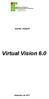 NAPNE / RENAPI. Virtual Vision 6.0