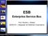 Arquiteturas Orientadas a Serviços ESB. Enterprise Service Bus. Prof. Ricardo J. Rabelo DAS5316 Integração de Sistemas Corporativos
