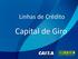 Linhas de Crédito. Capital de Giro