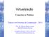 Virtualização. Conceitos e Prática. Tópicos em Sistemas de Computação 2014. Prof. Dr. Adriano Mauro Cansian adriano@acmesecurity.