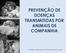 PREVENÇÃO DE DOENÇAS TRANSMITIDAS POR ANIMAIS DE COMPANHIA. Ana Ribeiro - Cátia Monteiro - Mª Francisca Santos Carvalho