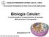 Biologia Celular: Transformação e armazenamento de energia: Mitocôndrias e Cloroplastos