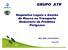 GRUPO ATR. Requisitos Legais e Gestão de Riscos no Transporte Rodoviário de Produtos Perigosos. Eng. Quím. Lisiane Sberse