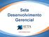 Seta Desenvolvimento Gerencial. www.setadg.com.br