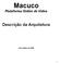 Macuco Plataforma Online de Vídeo. Descrição da Arquitetura