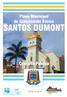Plano Municipal de Saneamento Básico SANTOS DUMONT. versão preliminar. Consulta Pública