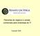 Parcerias de negócio e canais comerciais para empresas de TI. Copyright 2008