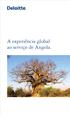 A experiência global ao serviço de Angola.