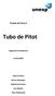 Projeto de Física II Tubo de Pitot Engenharia Ambiental Junho/2013 Aline Cristine Bruno Machado Gabriel da Franca Ivan Berlim Vitor Nakamoto