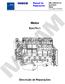 Manual de Reparações. MR 2 2002-07-31 EuroTech Motor Nova edição 31-08-2009. Motor. EuroTech. Descrição de Reparações