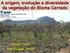 A origem, evolução e diversidade da vegetação do Bioma Cerrado. Vânia R. Pivello Dept. Ecologia - IB/USP