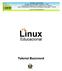 Linux. Educacional. Tutorial Buzzword