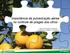 Importância da pulverização aérea no controle de pragas dos citros