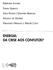 EBERHARD JOCHEM FRANK UMBACH JÖRG HUSAR E GÜNTHER MAIHOLD ADILSON DE OLIVEIRA FERNANDO NAVAJAS E WALTER CONT ENERGIA: DA CRISE AOS CONFLITOS?