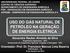 USO DO GÁS NATURAL DE PETRÓLEO NA GERAÇÃO DE ENERGIA ELÉTRICA