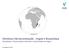 Workshop Internacionalização - Angola e Moçambique. Moçambique: Caracterização do Mercado e Oportunidades de Negócio