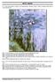 ARTES VISUAIS. 01 - A obra apresentada, a seguir, é de Claude Monet: Ninféias (1916) 1919). A respeito dessa obra, é correto afirmar que